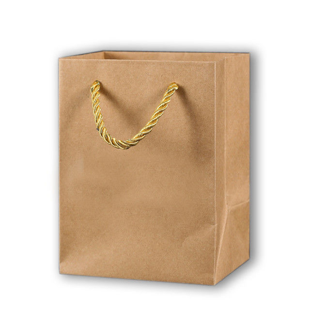 Custom Kraft Paper Shopping Bag Brown Handle Colored Gift Paper Bag